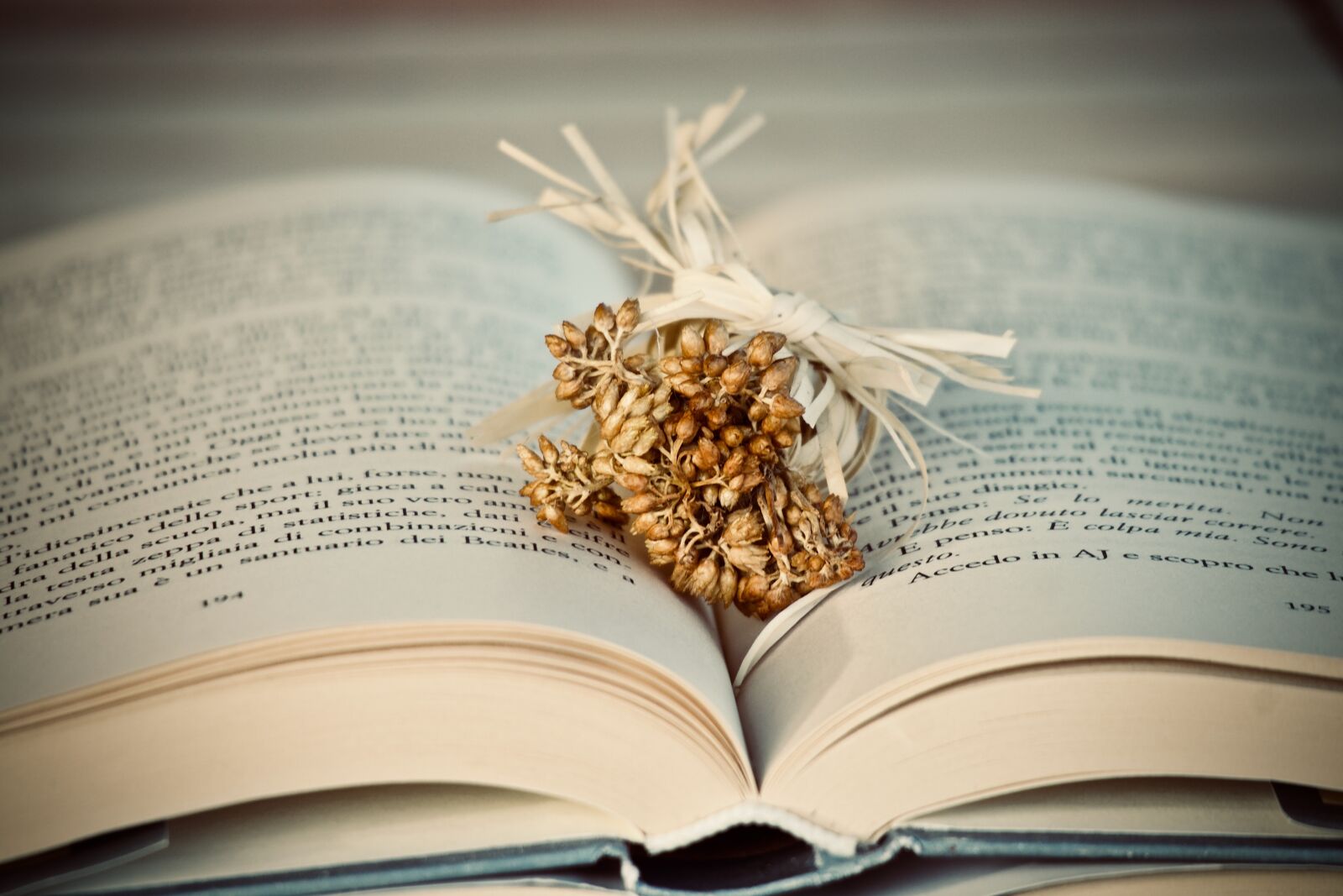 Canon EOS M sample photo. Book, flowers, dried flowers photography