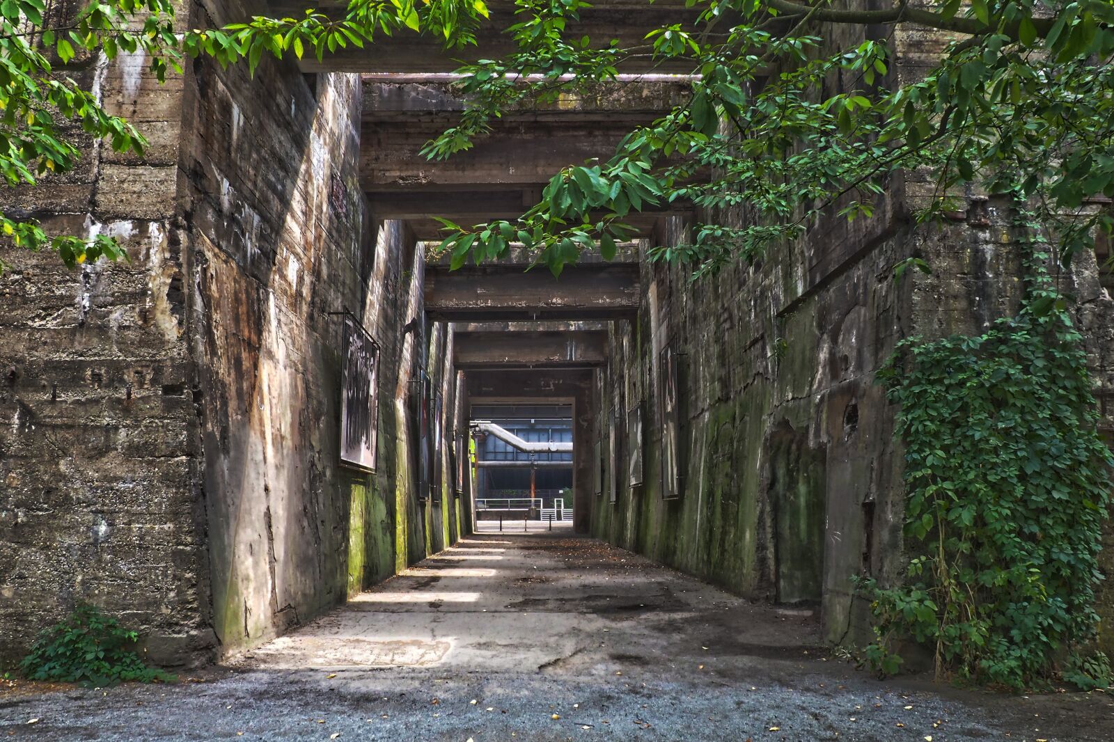 Olympus OM-D E-M10 sample photo. Lost places, industry, pforphoto photography