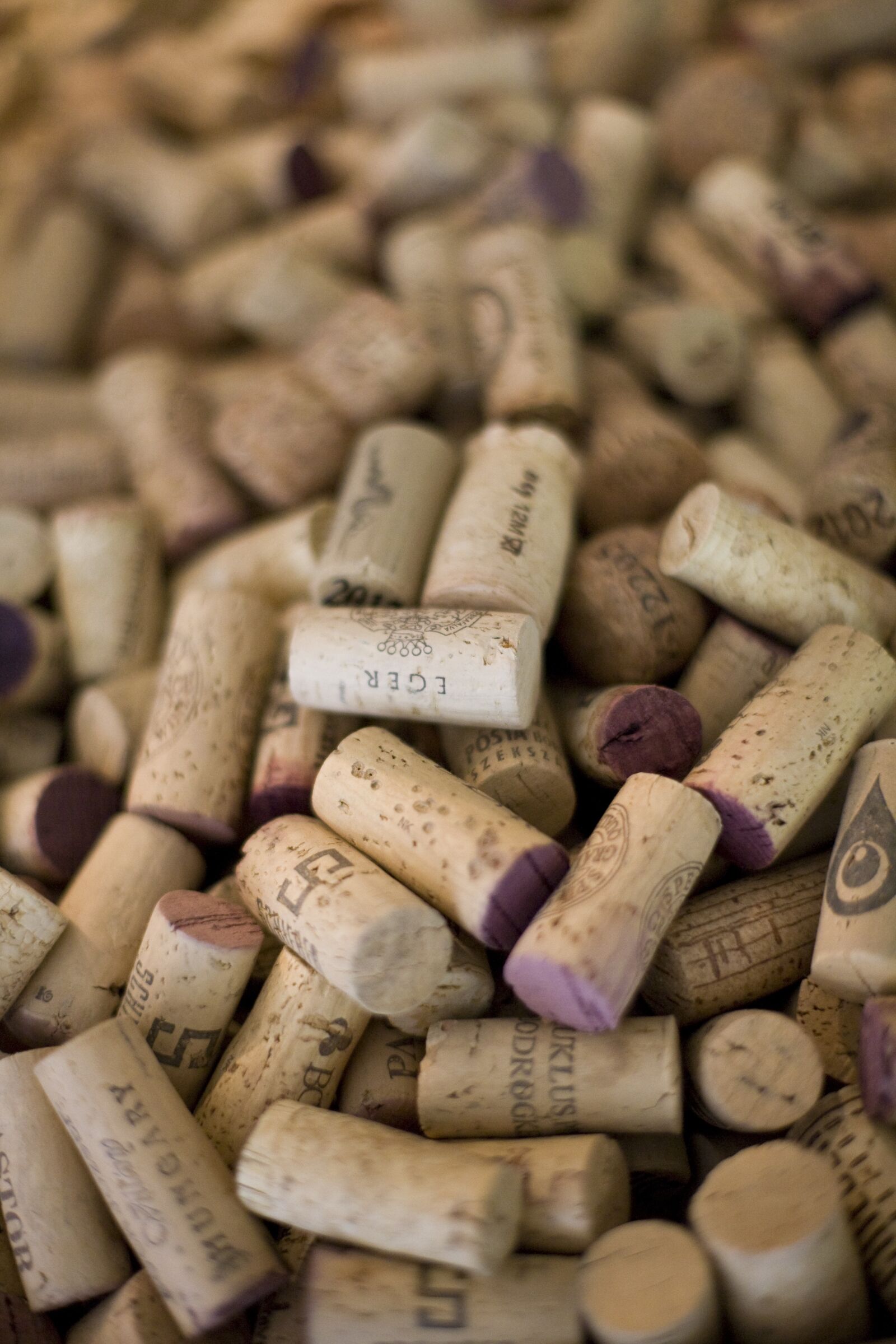Canon EOS 5D sample photo. Wine, plugin, hungarian photography