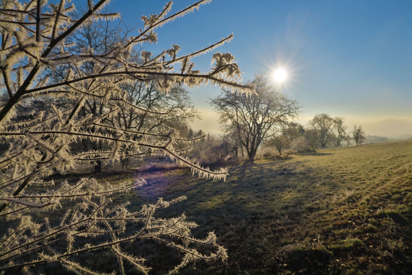 Canon PowerShot G7 X sample photo. Frost, meadow, winter photography