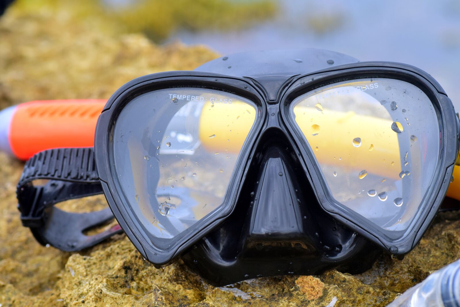 Nikon D3300 sample photo. Diving mask, diving, nature photography