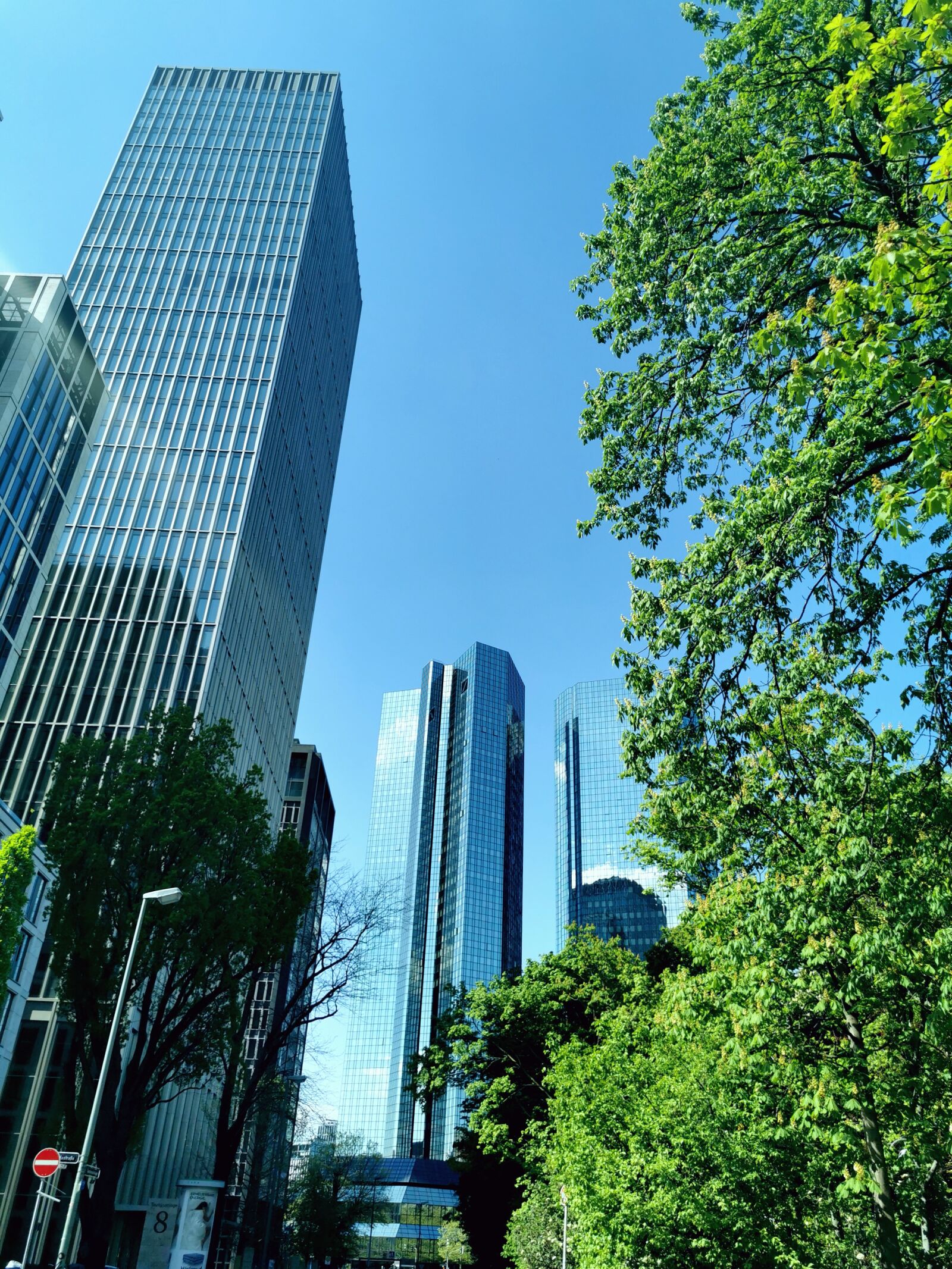 HUAWEI P30 Pro sample photo. Frankfurt, trees, city photography