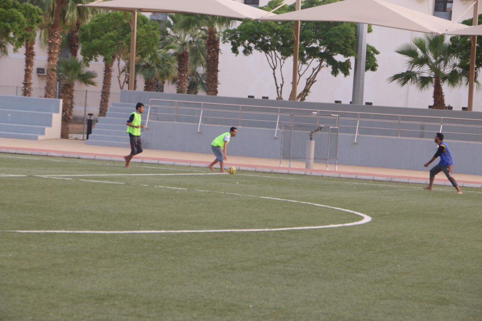 Canon EOS 70D sample photo