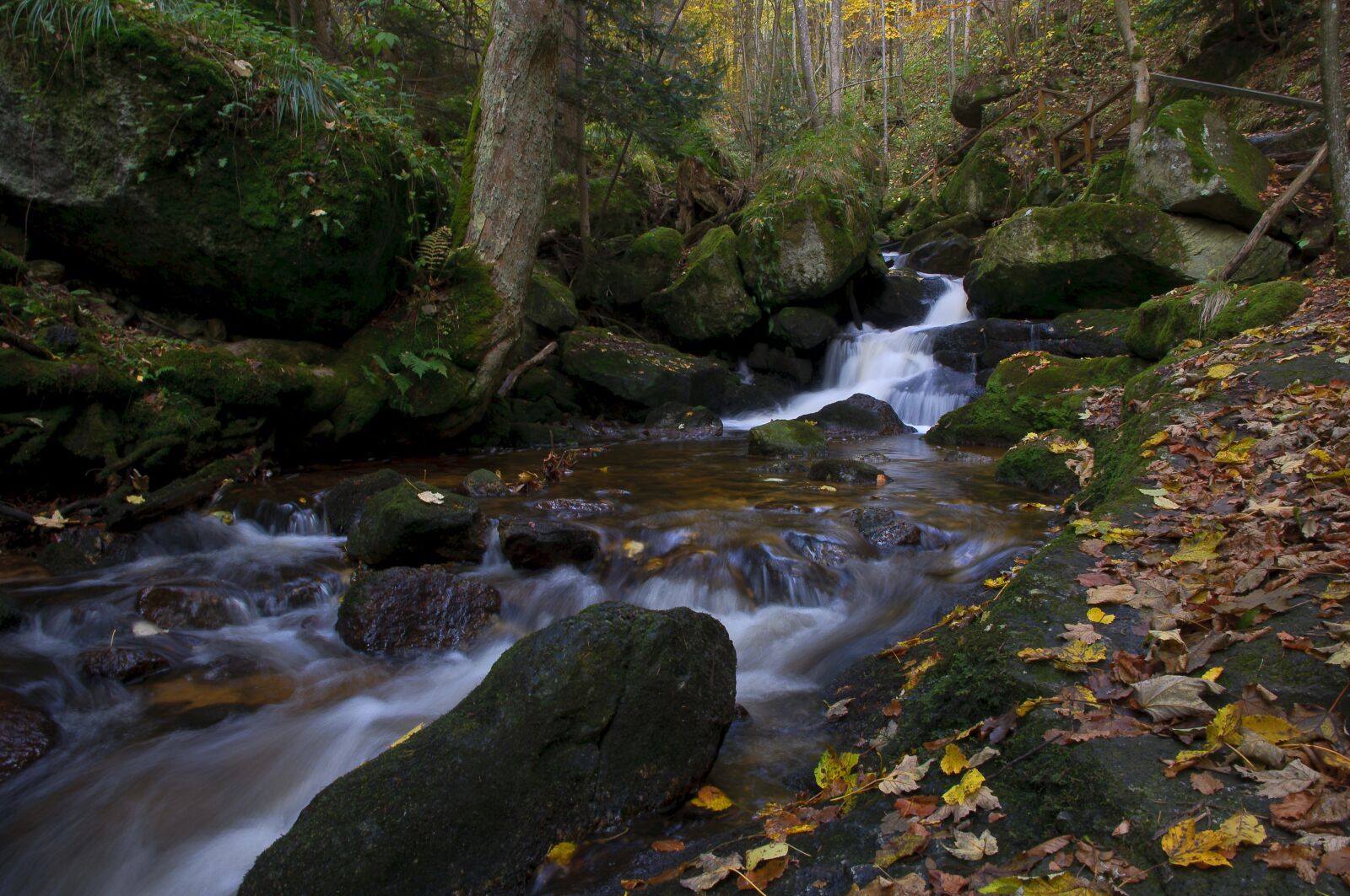 Nikon D300 sample photo. Ysperklamm, bach, wasser photography