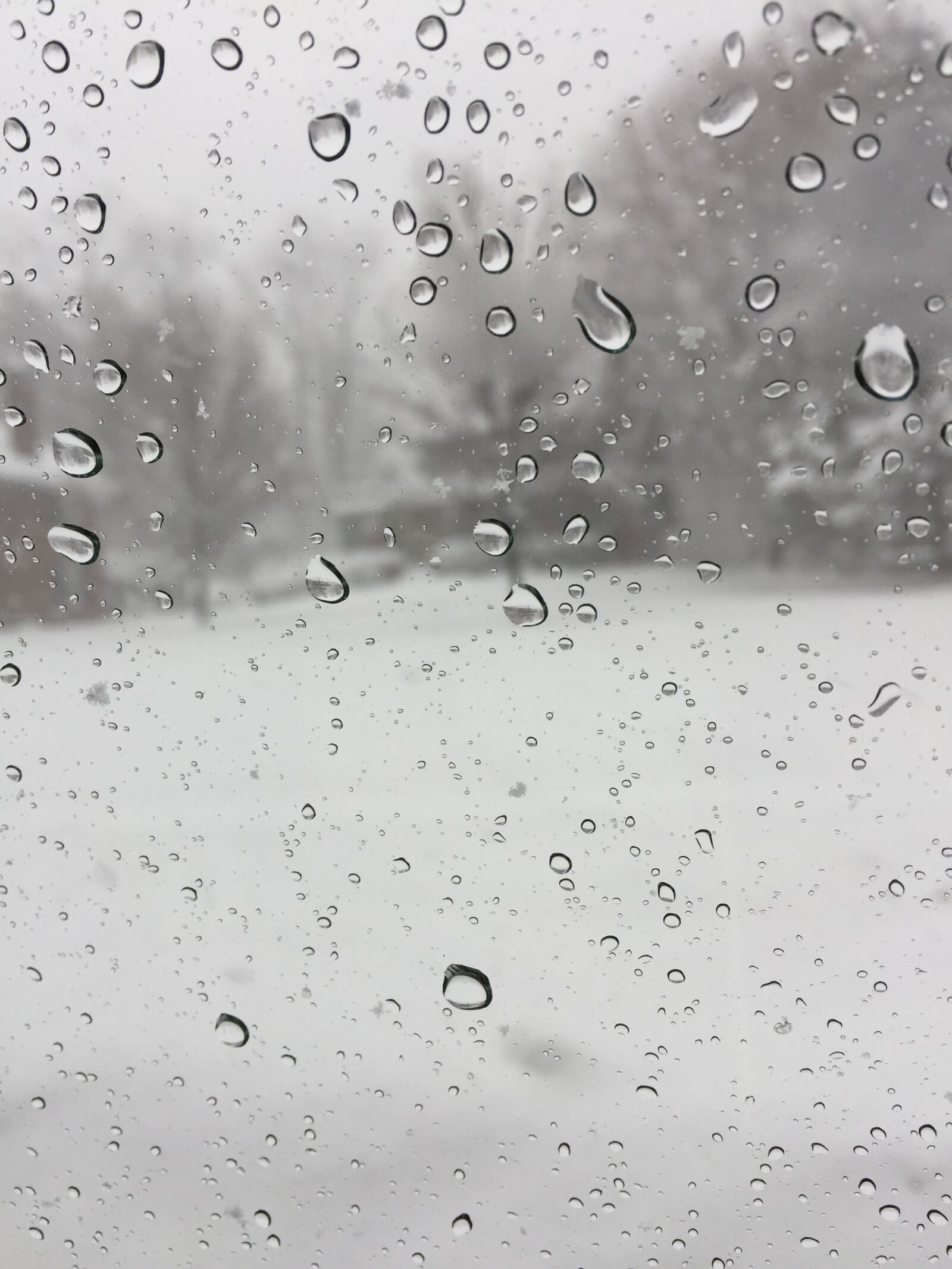 iPhone 6 back camera 4.15mm f/2.2 sample photo. Winter, raindrops, rain photography