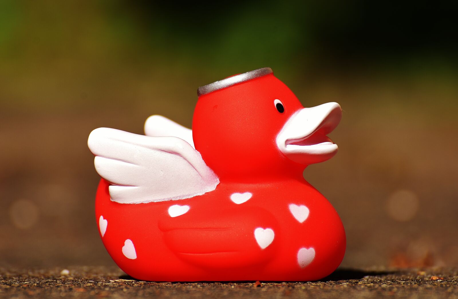 Nikon D7200 sample photo. Quietscheente, angel, duck photography