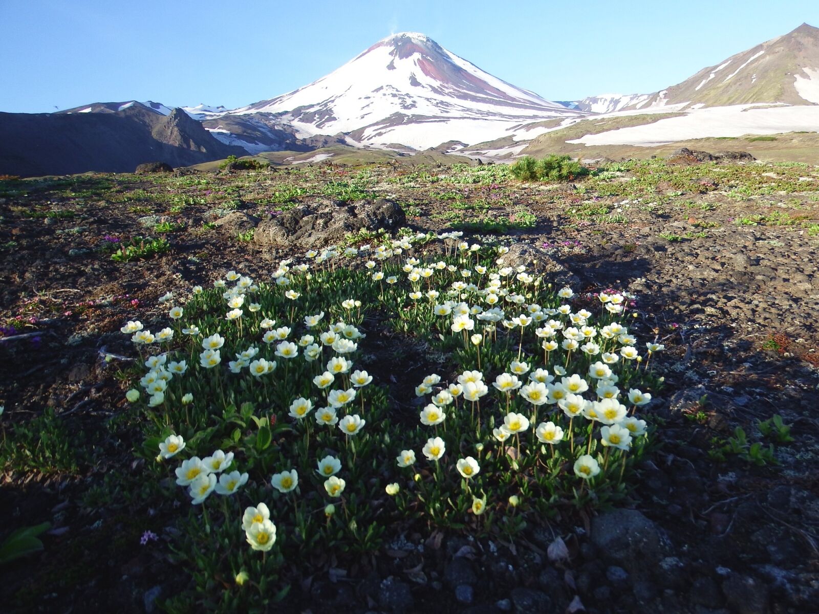 Fujifilm FinePix S1 sample photo. The volcano avachinsky, summer photography