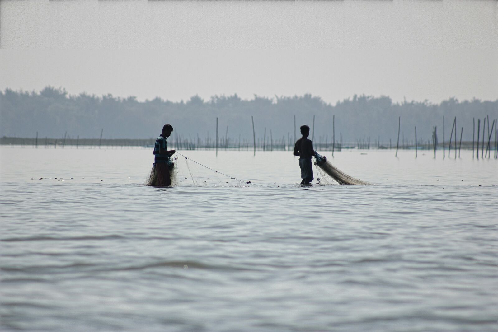 Canon EOS 550D (EOS Rebel T2i / EOS Kiss X4) sample photo. Fishermen photography