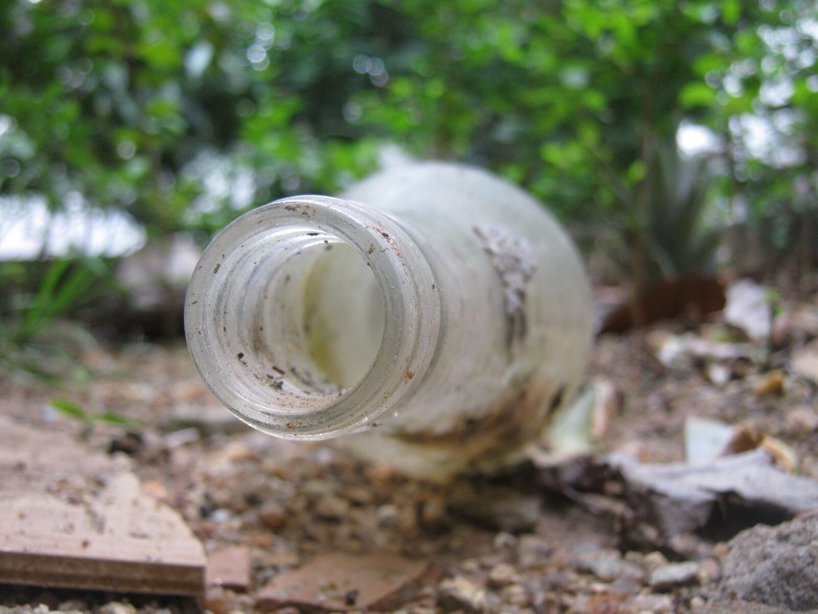 Canon PowerShot A480 sample photo. Bottle, macro, ground photography