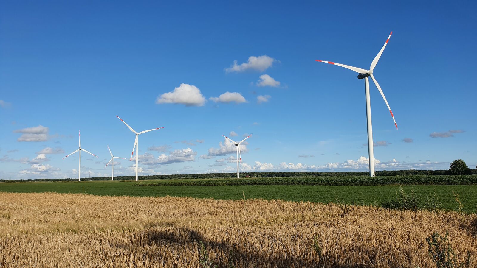 Samsung Galaxy S10+ sample photo. Wind turbine, cornfield, mecklenburg photography