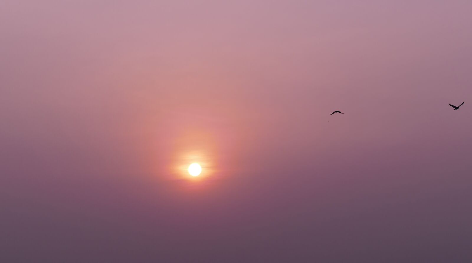 Panasonic Lumix DMC-FZ1000 sample photo. Sunrise, morning sun, sunset photography