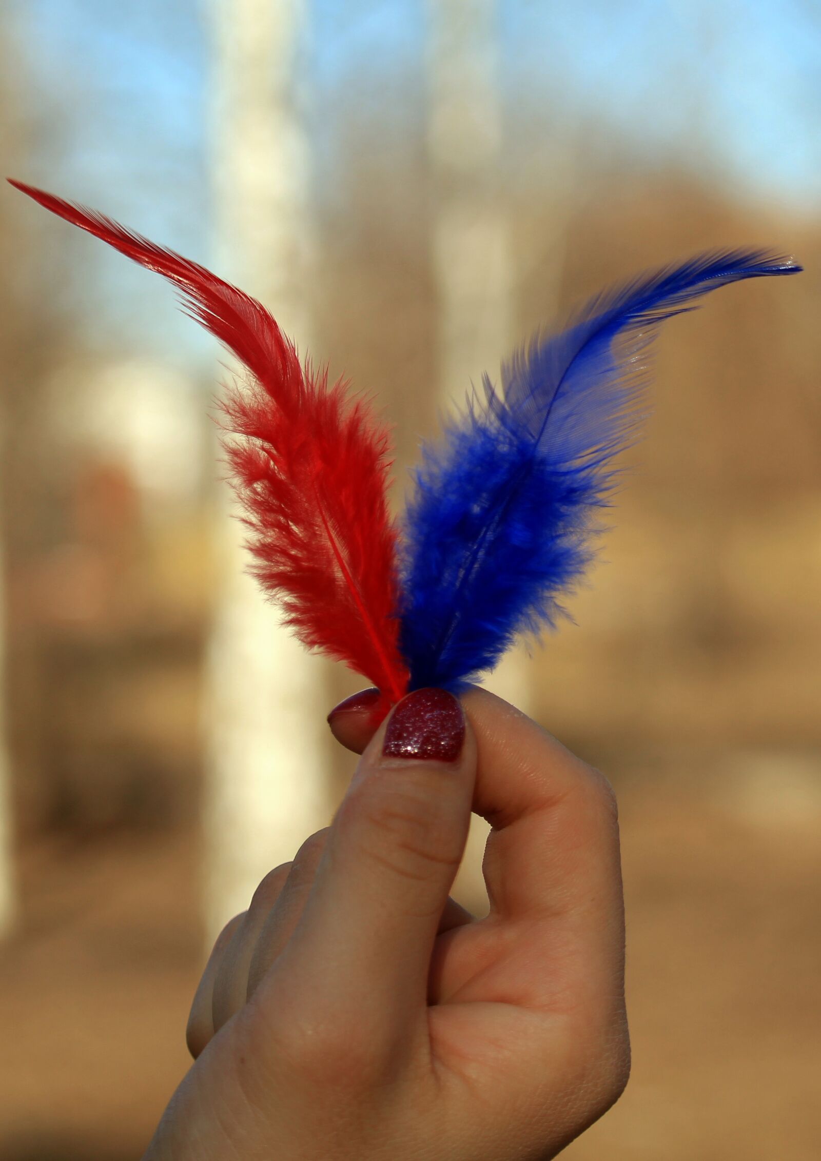 Canon EOS 1200D (EOS Rebel T5 / EOS Kiss X70 / EOS Hi) sample photo. Victory, feathers, coronavirus photography