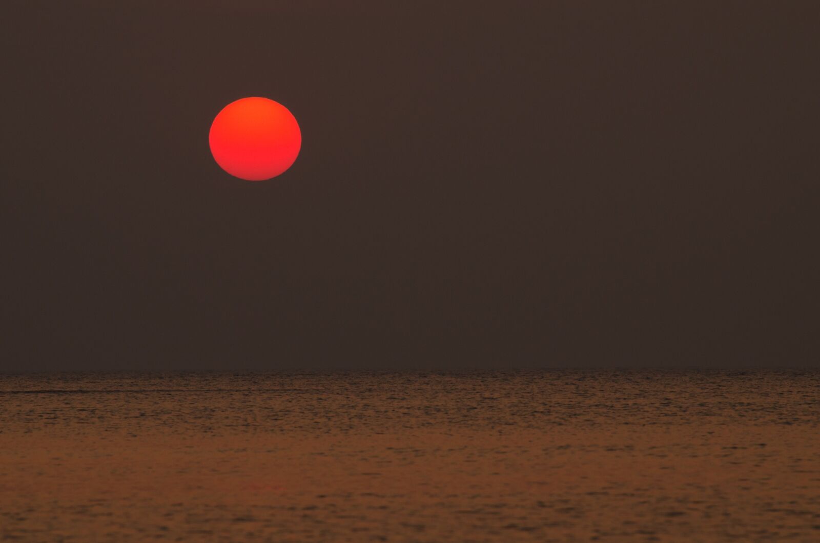 Nikon D5100 sample photo. Sun, fires, sunset photography