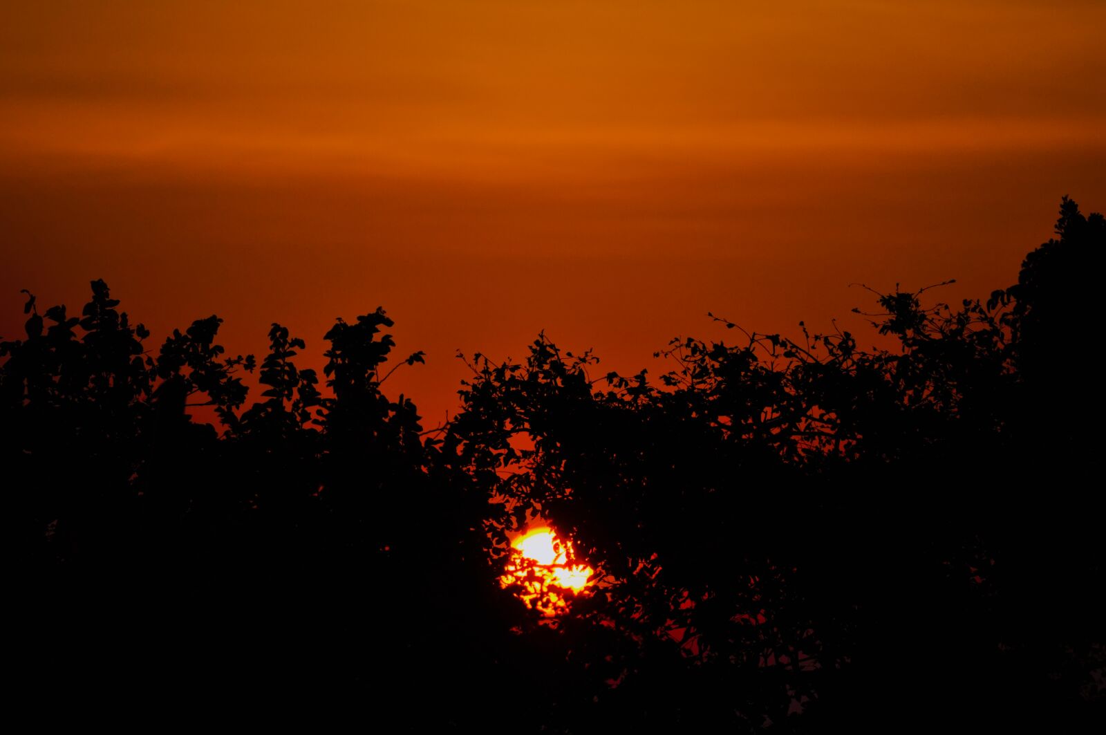 Nikon D300 sample photo