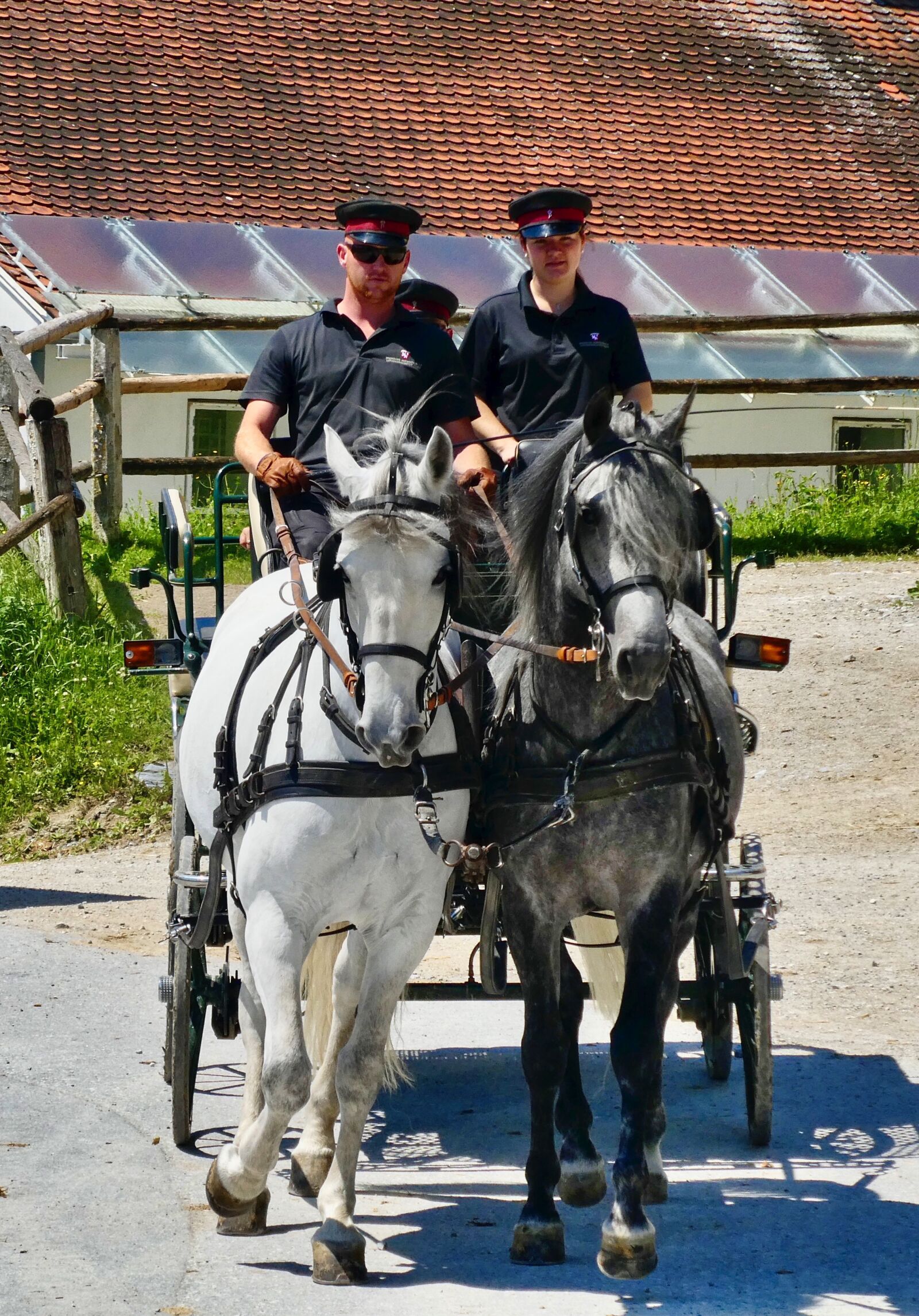 Panasonic Lumix DC-ZS70 (Lumix DC-TZ90) sample photo. Carriage, horses, vintage photography