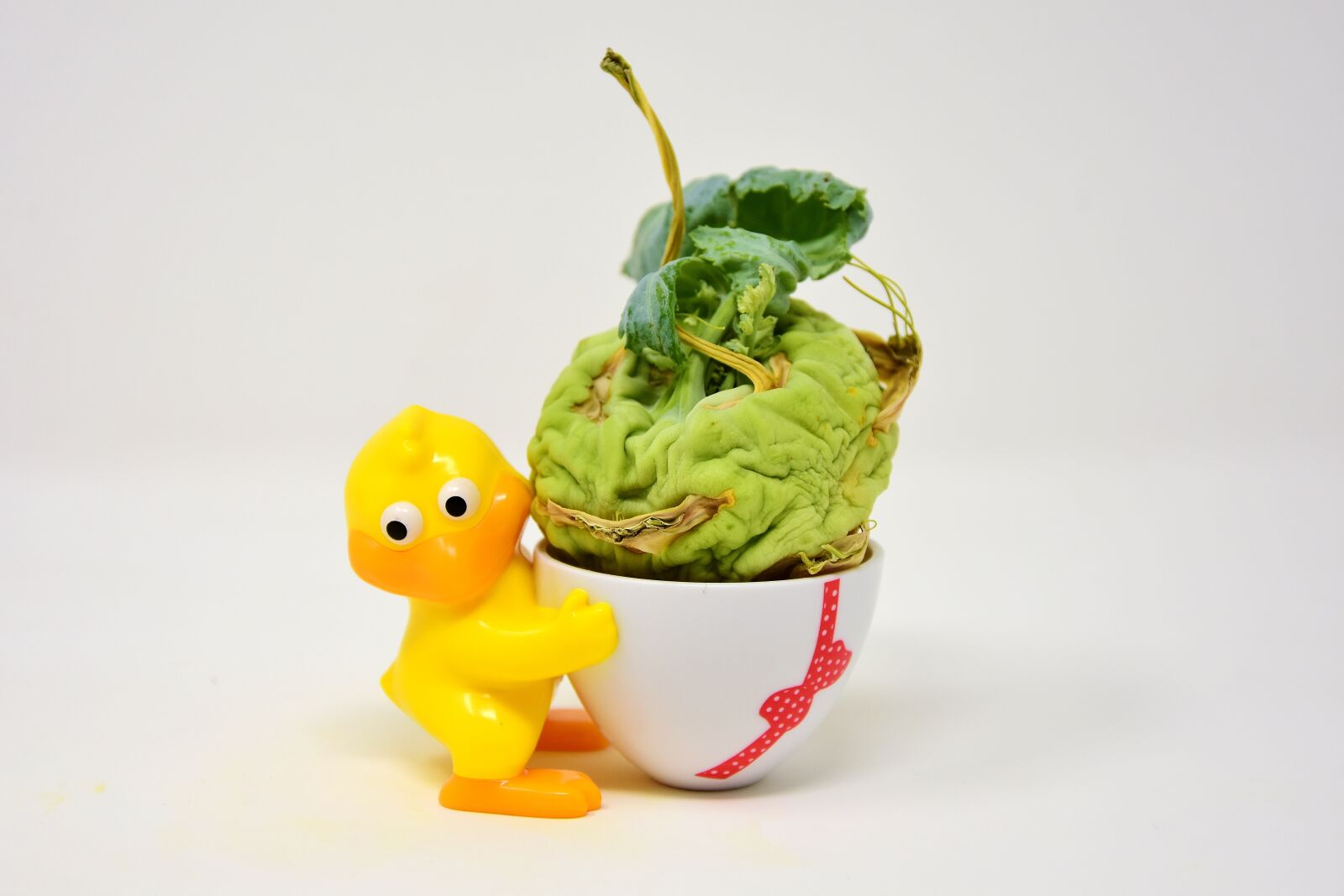 Nikon D7200 sample photo. Kohlrabi, dry, shrunk photography