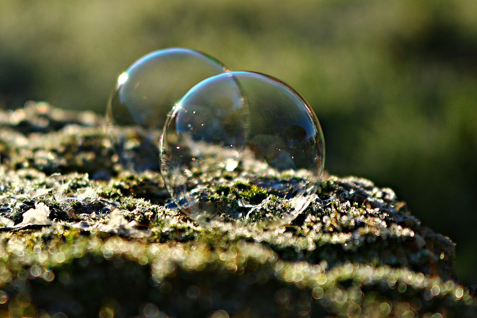 Canon EOS 100D (EOS Rebel SL1 / EOS Kiss X7) sample photo. Ice bubble, frozen bubble photography