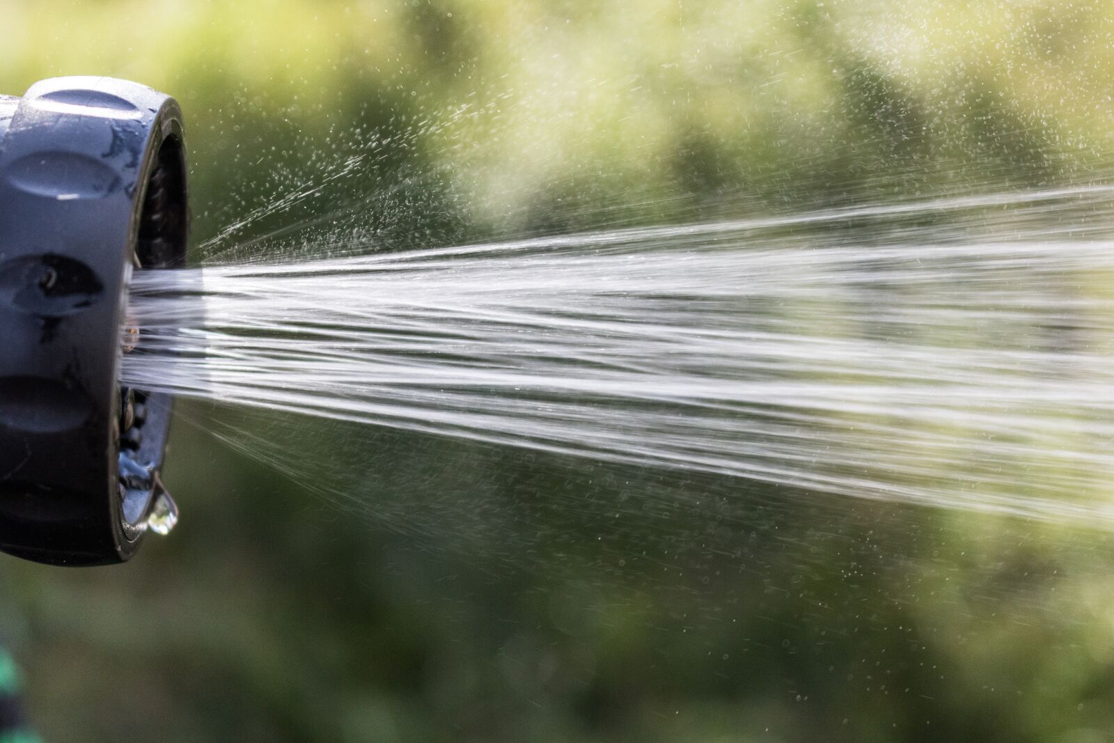 Canon EOS 750D (EOS Rebel T6i / EOS Kiss X8i) sample photo. Hose, water, garden photography
