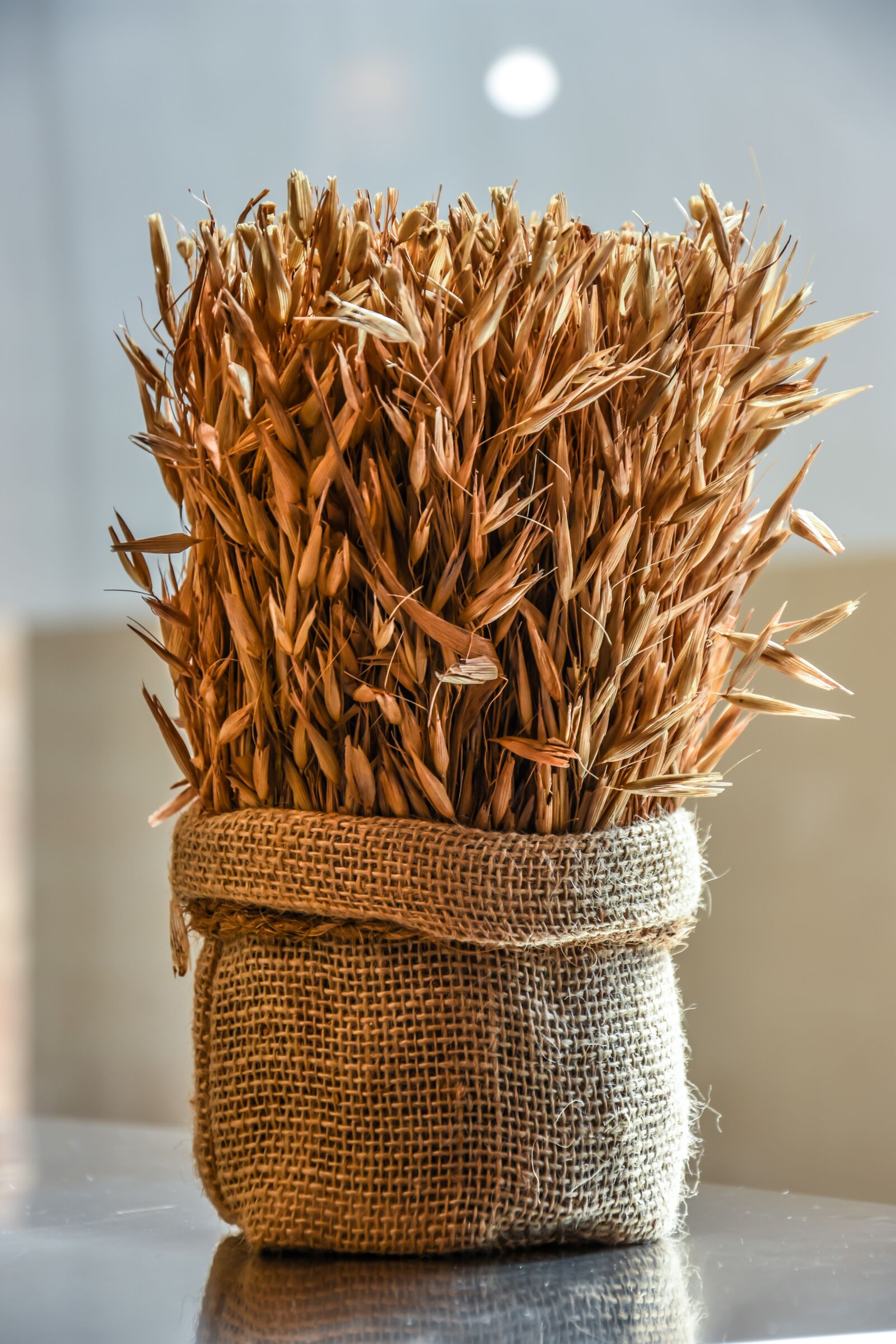 Nikon D7200 sample photo. Wheat, grain, agriculture photography