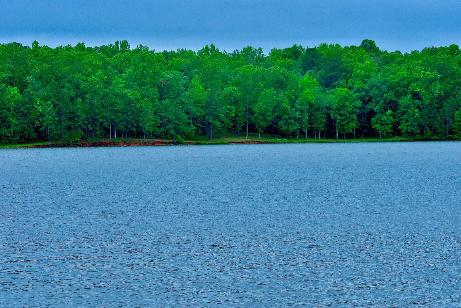 Nikon D5600 sample photo. Georgia, parks, landscape photography
