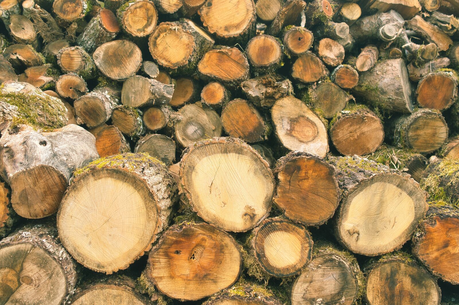 Nikon D3200 sample photo. Wood, logs, heating photography