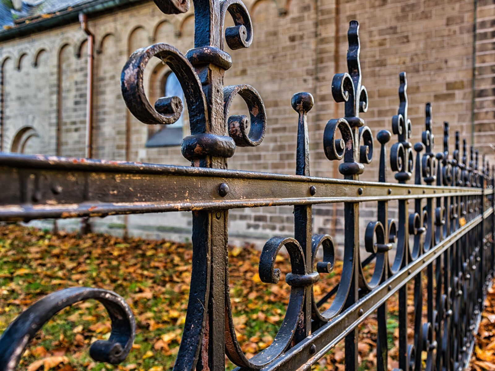 Nikon D3300 sample photo. Fence, wrought iron, metal photography
