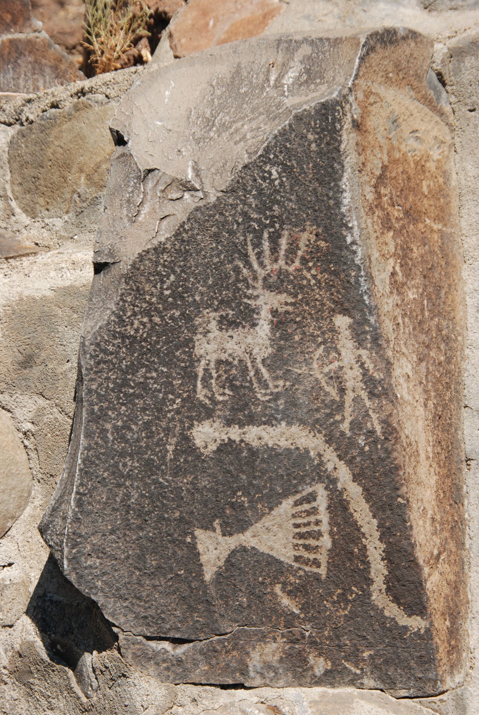 Nikon D80 sample photo. Petroglyph, image, scratches photography