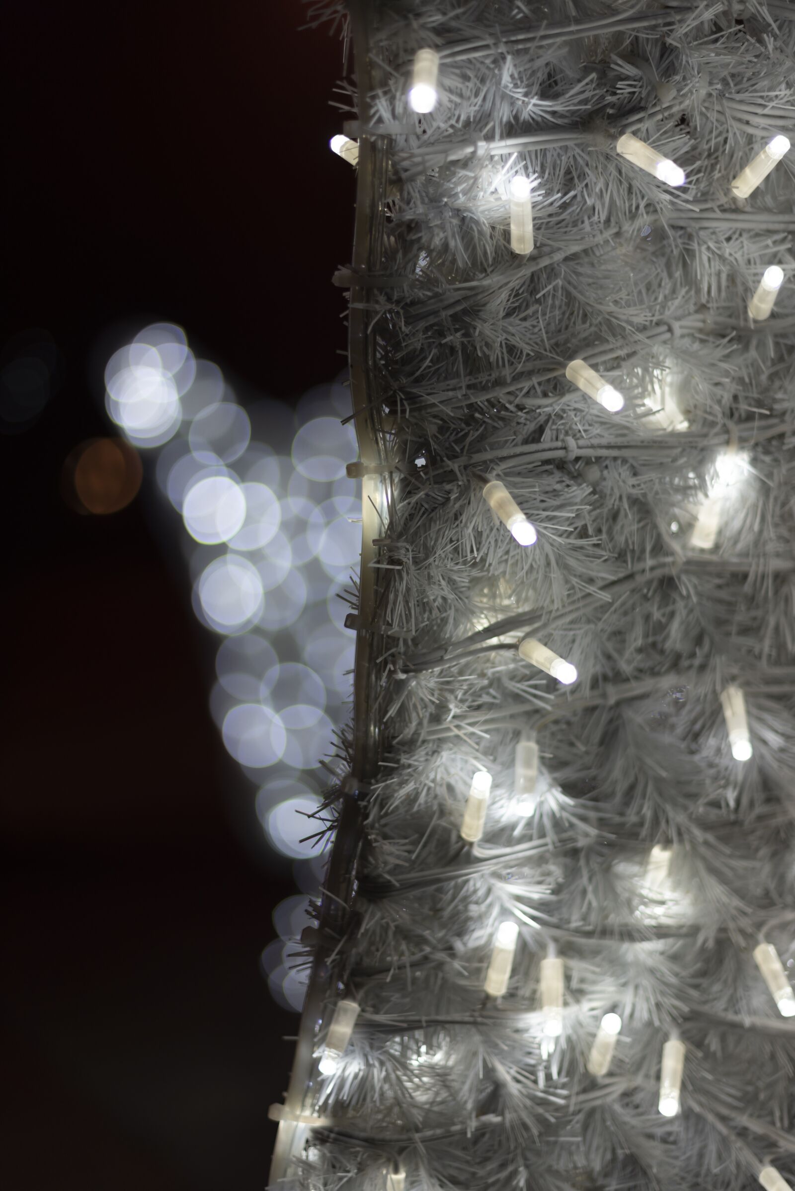 Nikon D750 sample photo. Christmas, lights, holiday photography