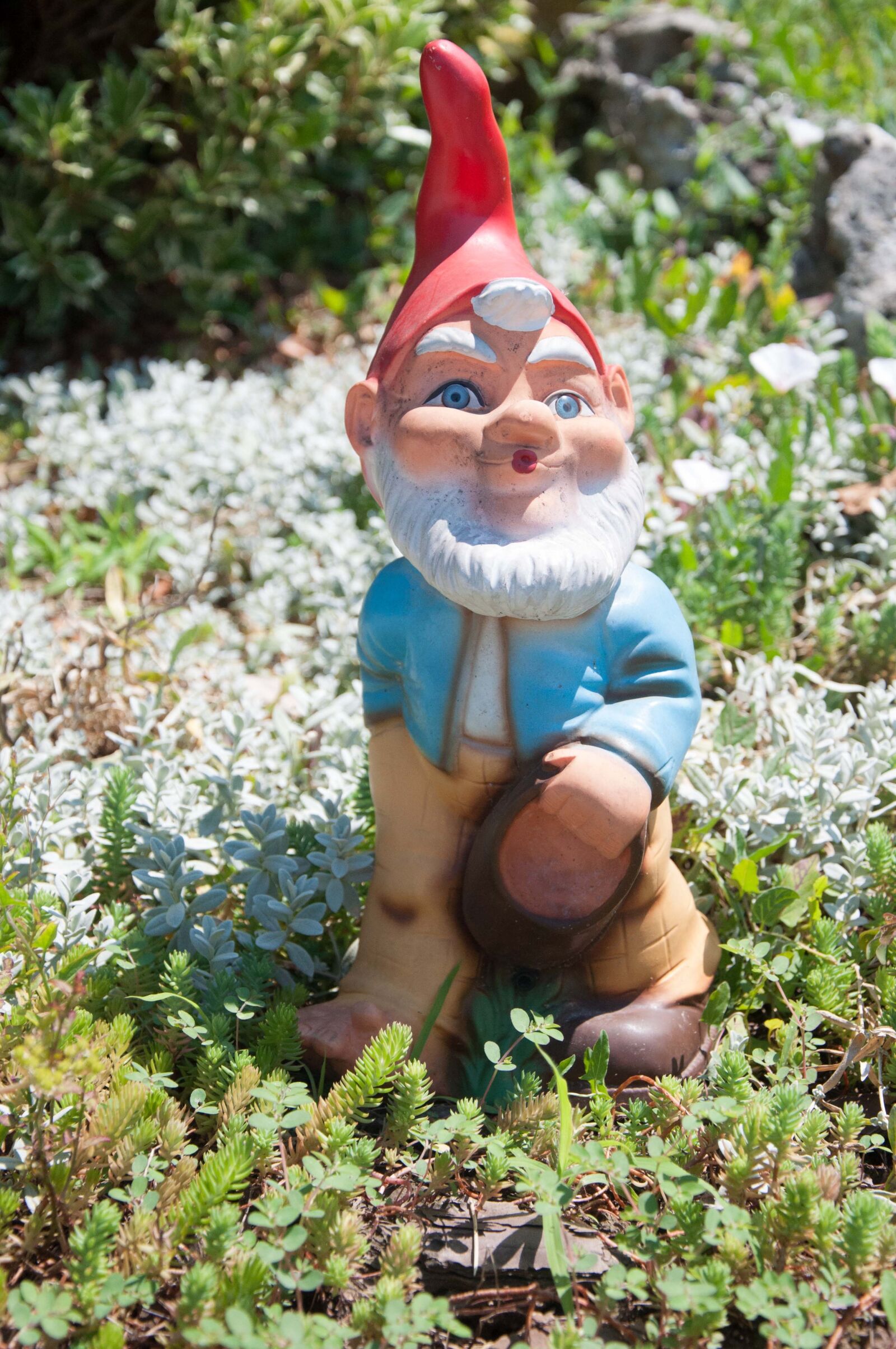 Nikon D90 sample photo. Garden figurines, garden, figure photography