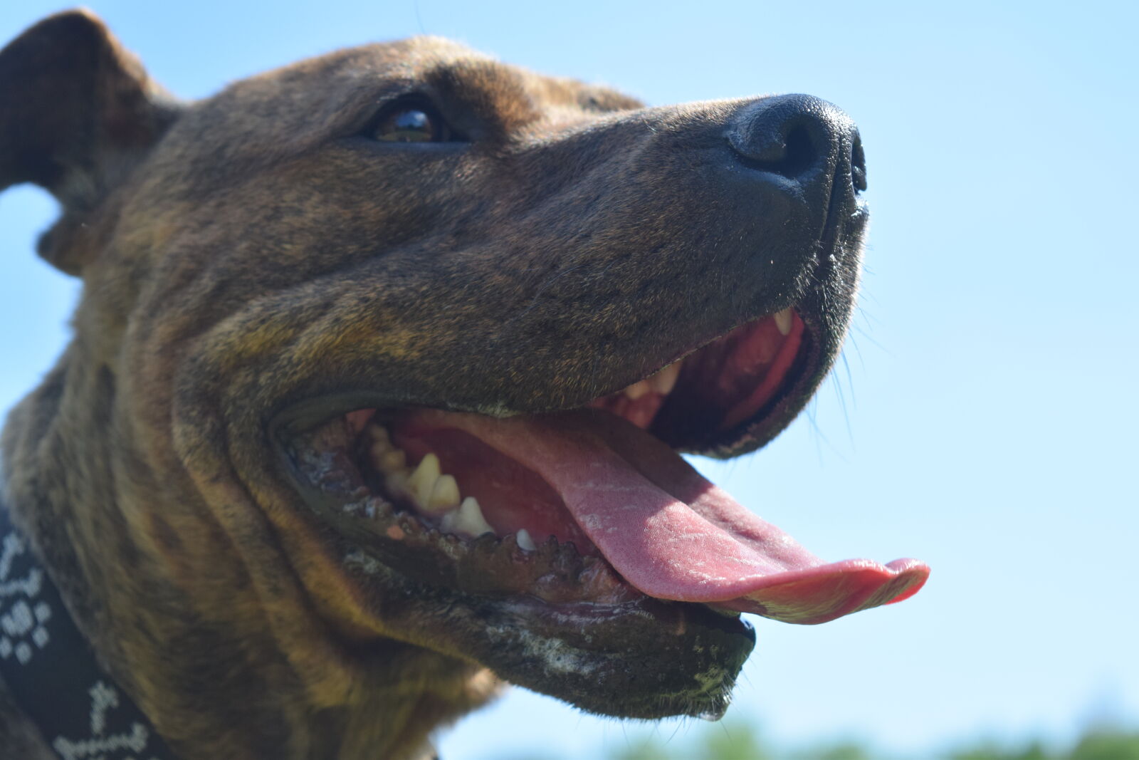 Nikon D3300 sample photo
