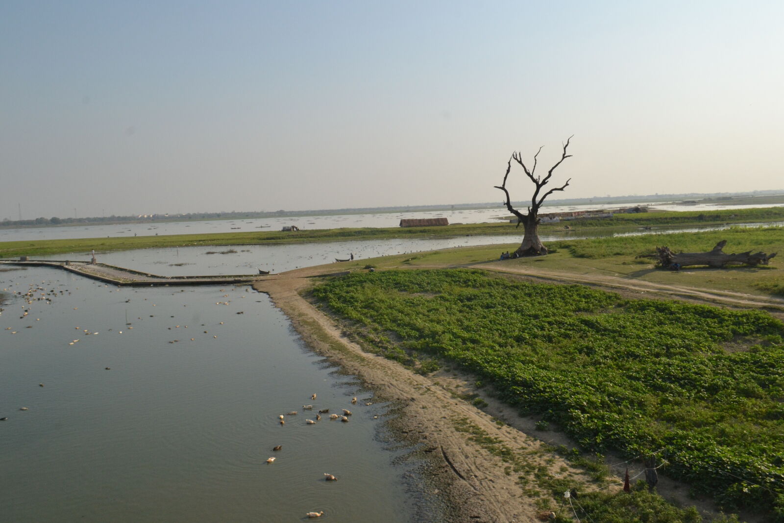 Nikon D3100 sample photo