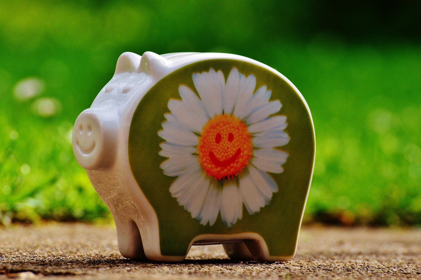 Nikon D3200 sample photo. Piggy bank, smiley, funny photography