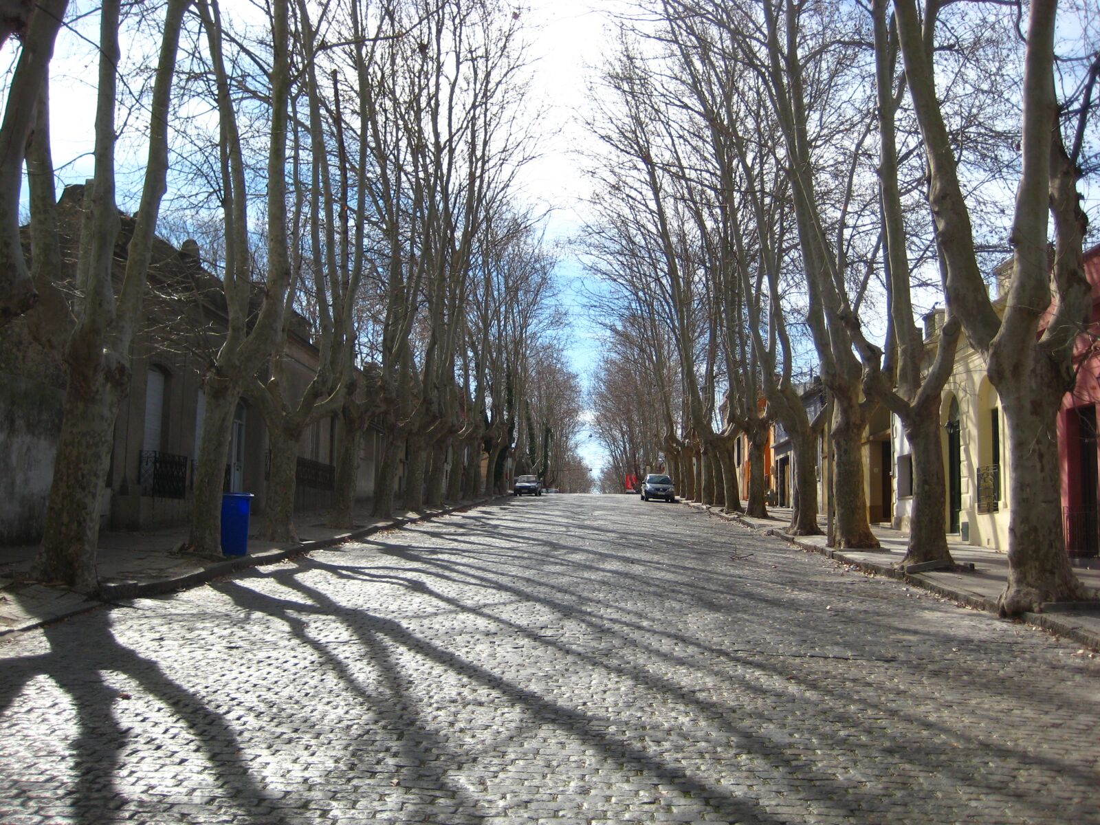 Canon DIGITAL IXUS 75 sample photo. Avenue, cobbles, trees photography