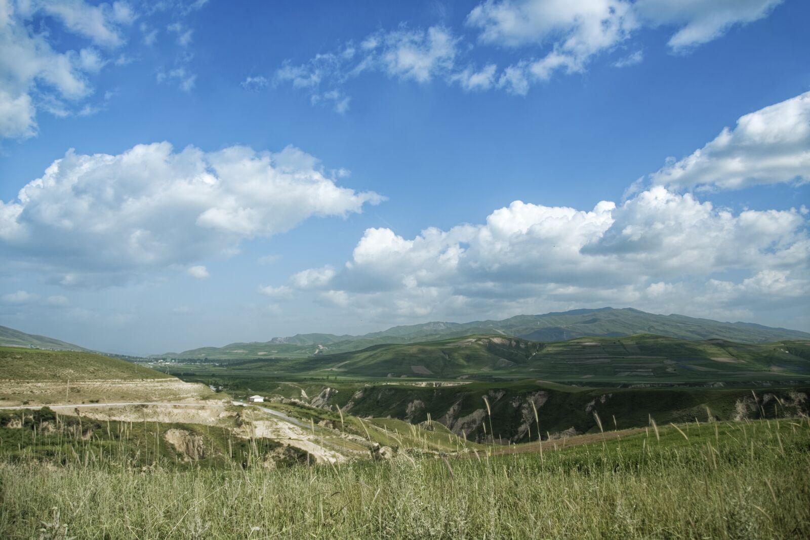 Nikon D500 sample photo. Tajikistan, province of chatlon photography