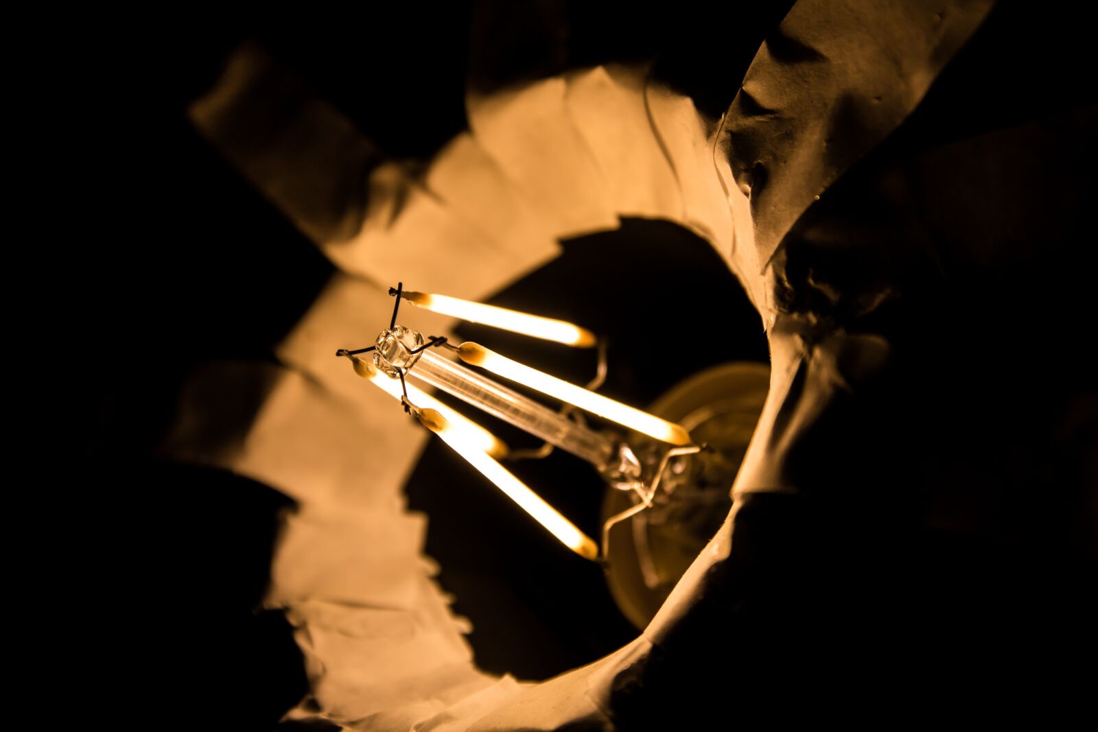 Canon EOS 760D (EOS Rebel T6s / EOS 8000D) sample photo. Filament, the light bulb photography