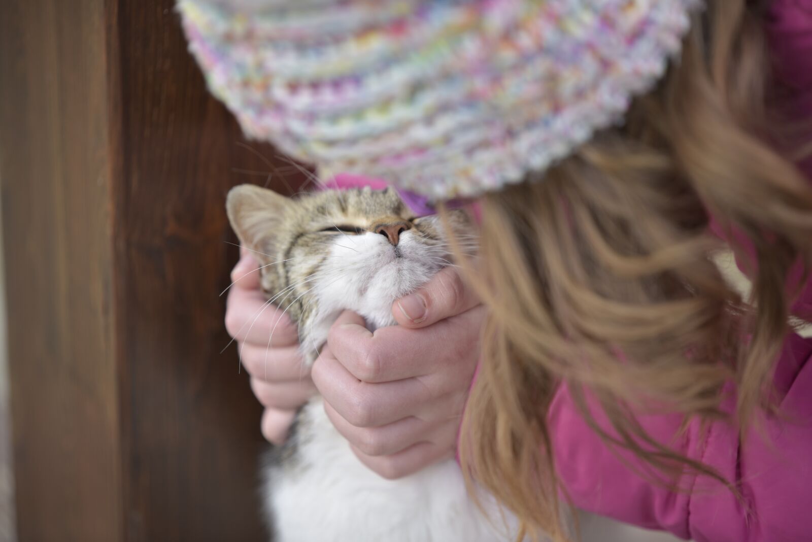 Nikon D750 sample photo. Cat, little girl, animals photography