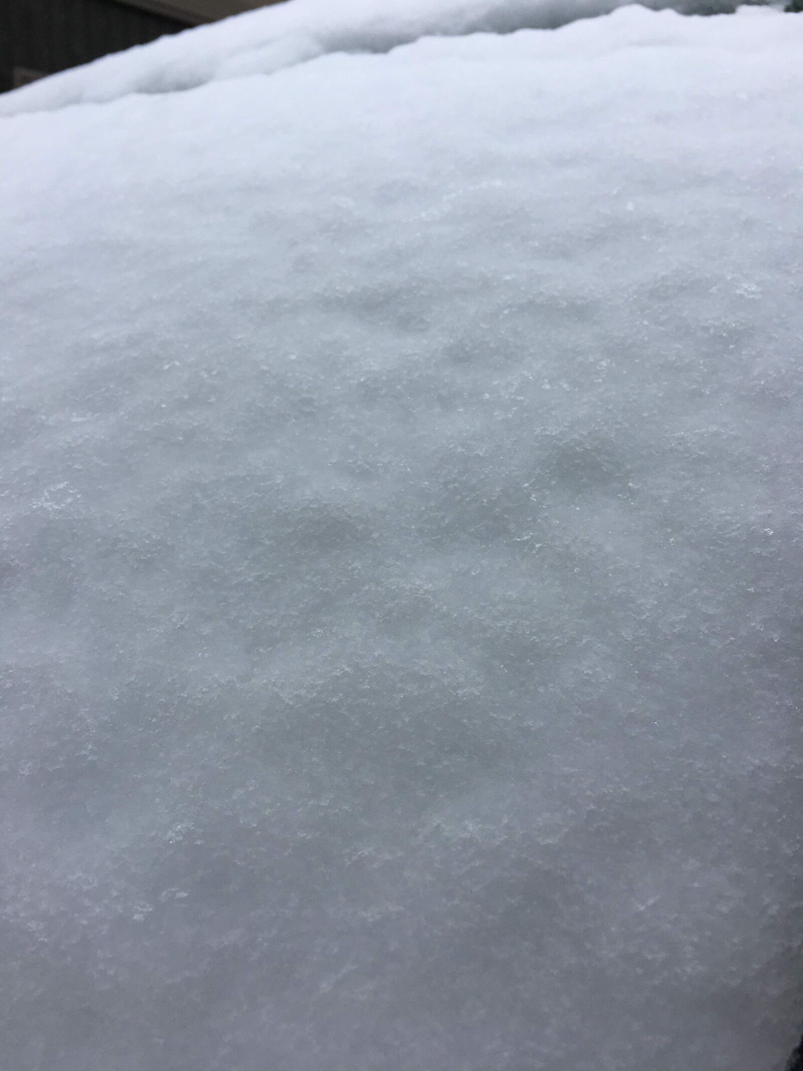Apple iPhone 6s sample photo. White, snow, winter photography