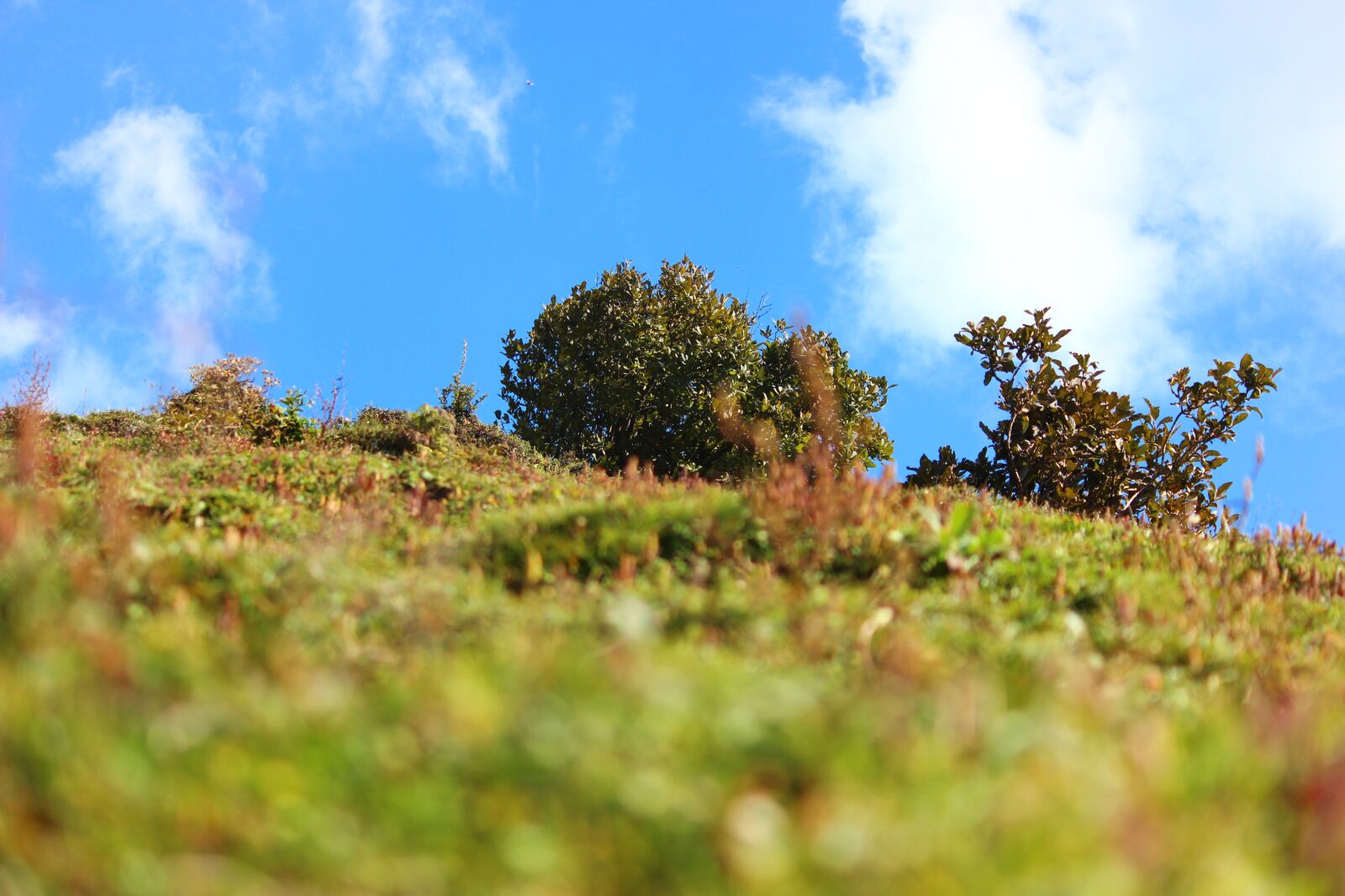 Canon EOS 600D (Rebel EOS T3i / EOS Kiss X5) sample photo. Hatu, peak, temple photography
