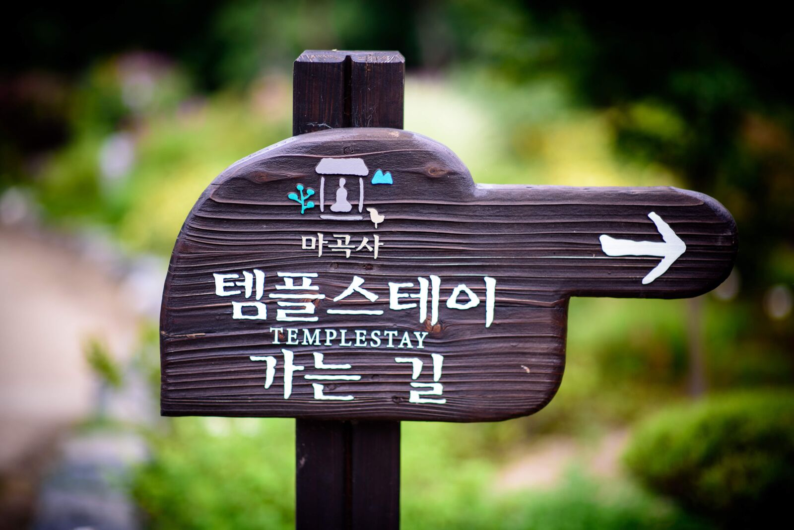 Nikon D750 sample photo. Temple, mountain, korea photography