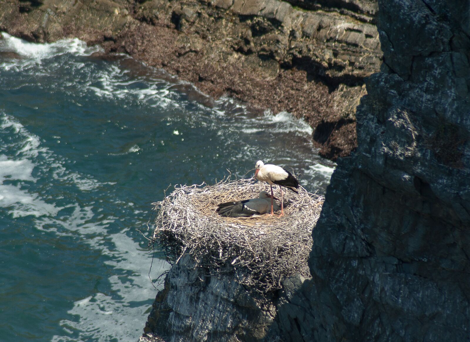 Tamron AF 70-300mm F4-5.6 Di LD Macro sample photo. Stork, nest, portugal photography