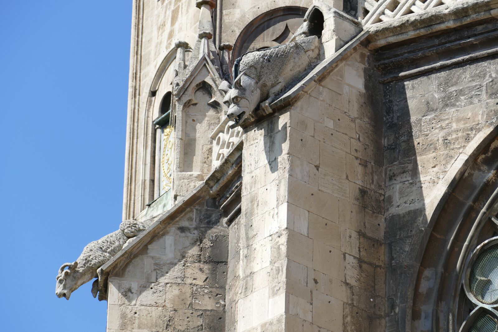 Panasonic Lumix DMC-FZ1000 sample photo. Naumburg, dom, saxony-anhalt photography