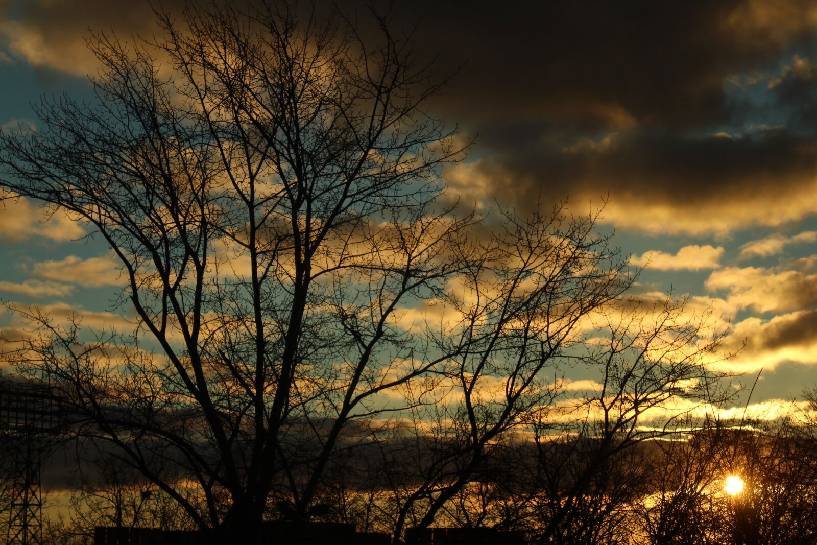 Canon EOS 650D (EOS Rebel T4i / EOS Kiss X6i) sample photo. Dawn, winter, cold photography