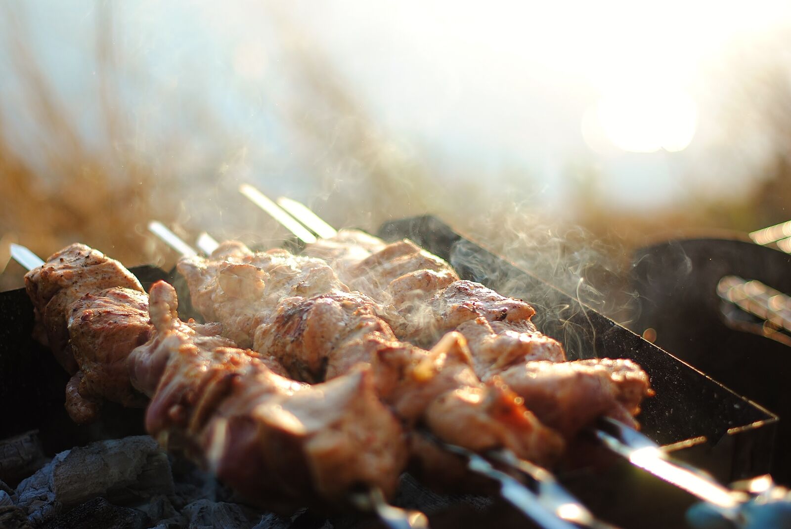 Nikon D3000 sample photo. Shish kebab, meat, kubny photography