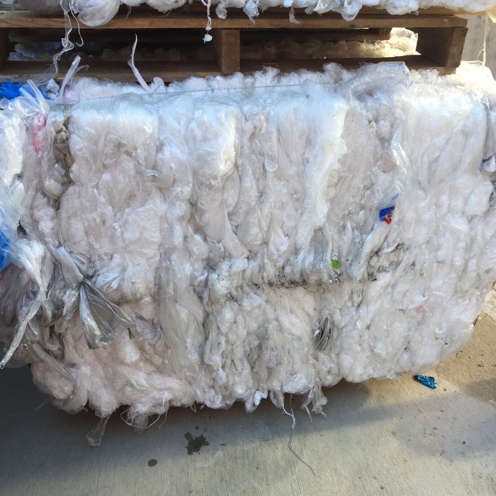 Apple iPhone 6 sample photo