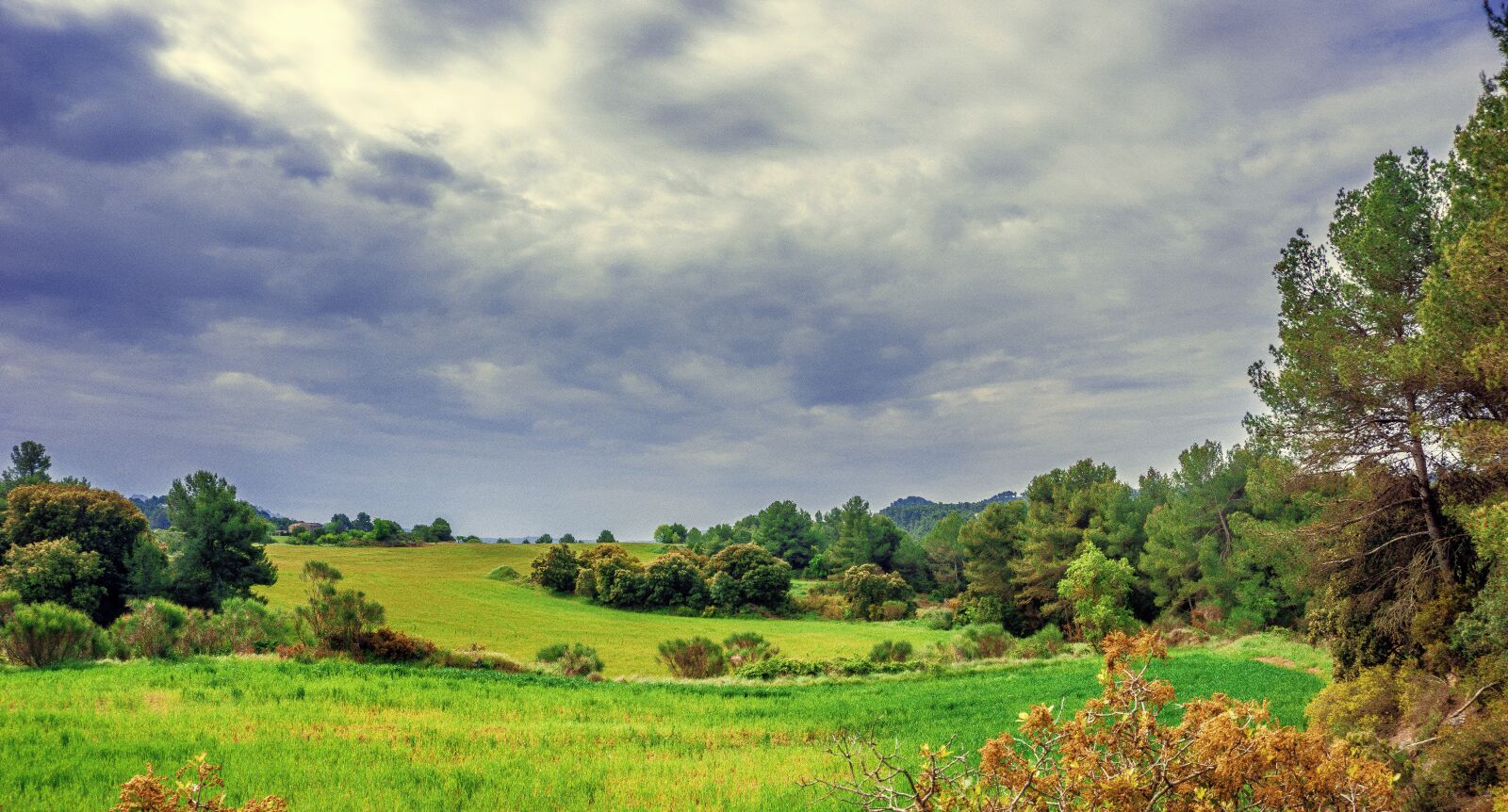 Sony a6000 sample photo. Nature, landscapes, rural landscape photography