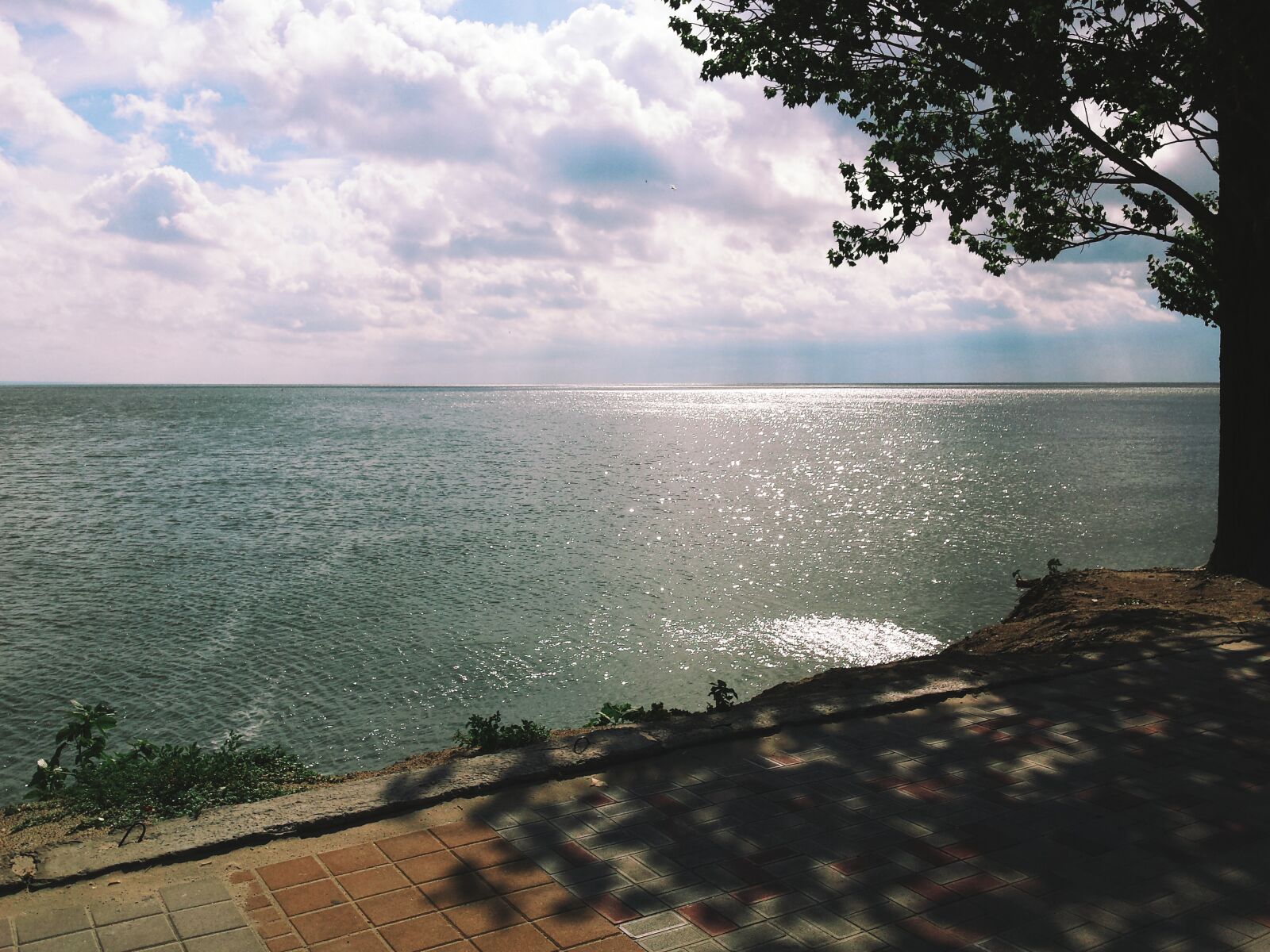 Samsung Galaxy S4 sample photo