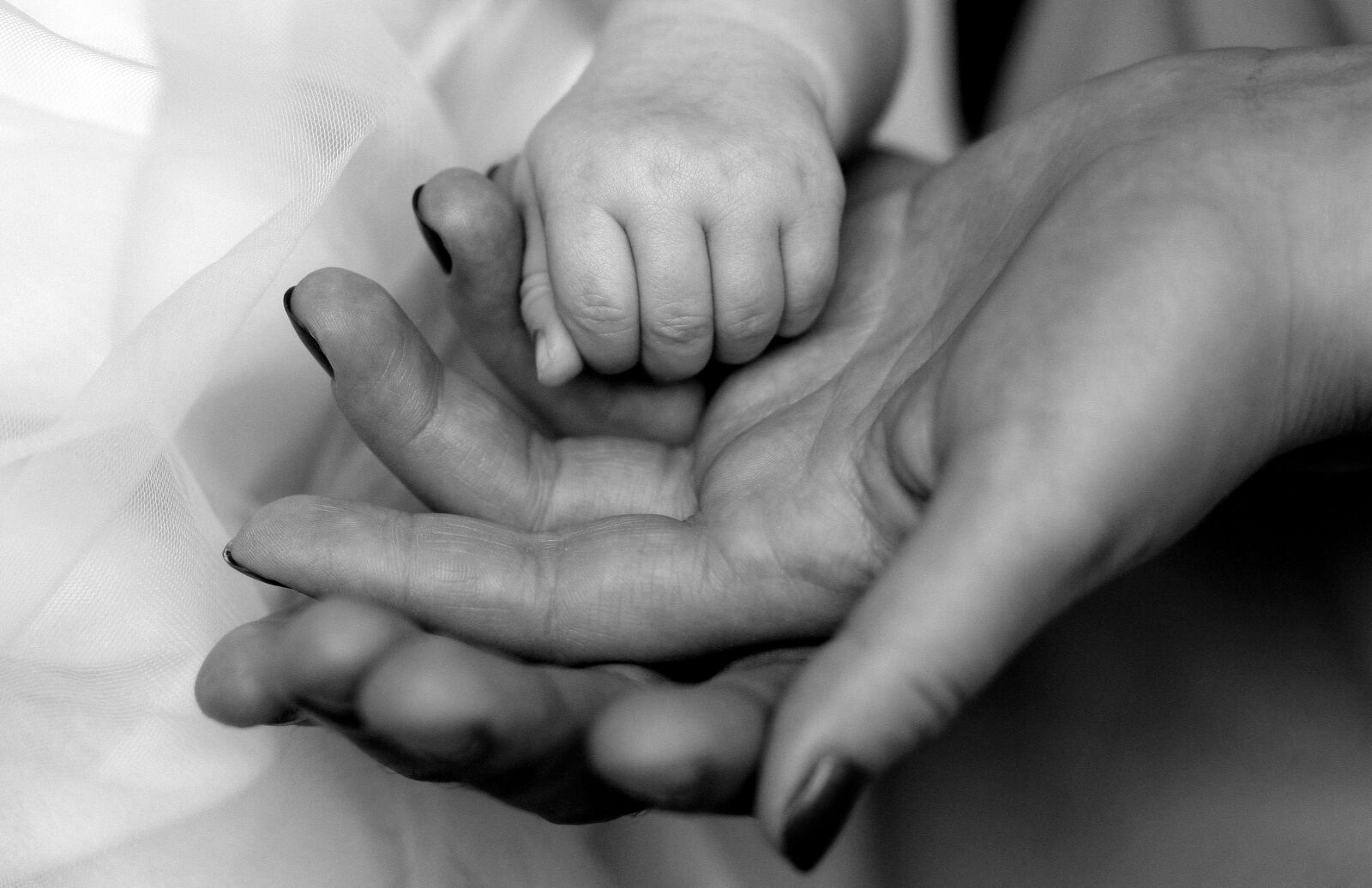 Canon EOS 450D (EOS Rebel XSi / EOS Kiss X2) sample photo. Hands, family, love photography