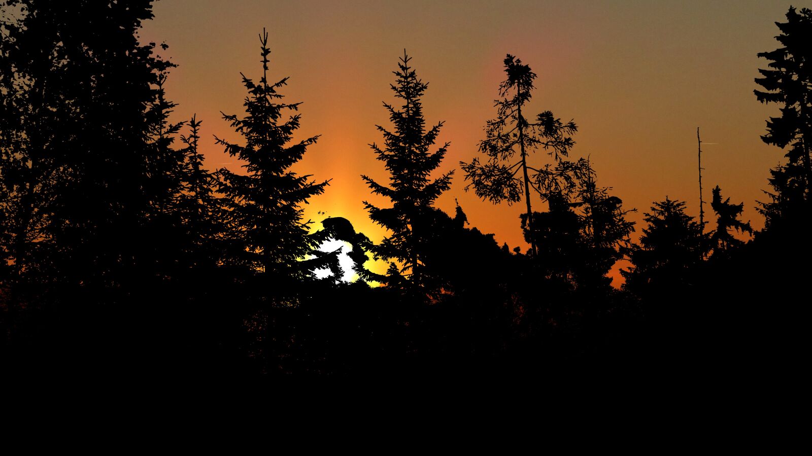 Panasonic Lumix DMC-FZ200 sample photo. Sunset nature, forest, twilight photography