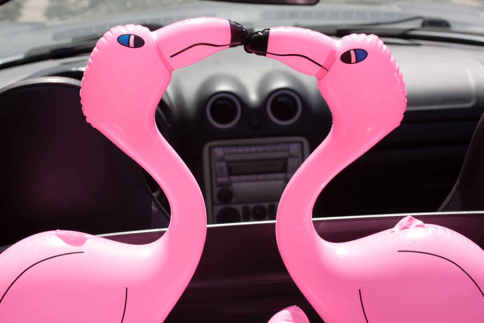 Canon EOS 50D sample photo. Flamingo, beaks, inflatable photography