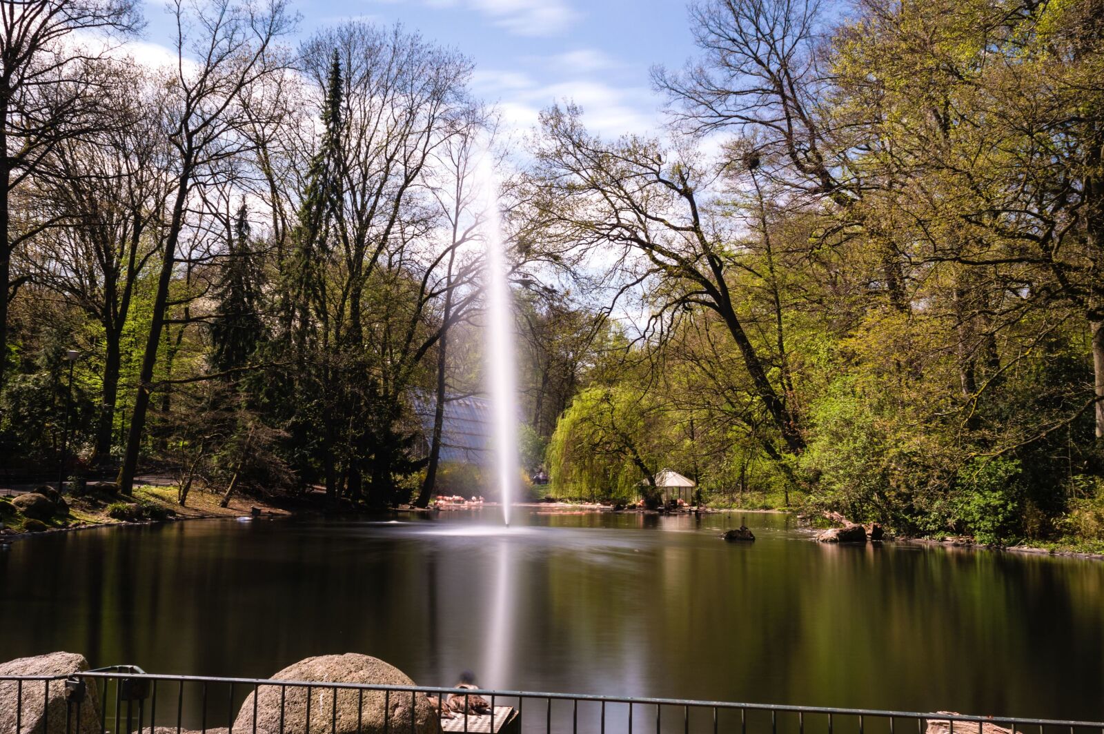 Nikon D3200 sample photo. Pond, trees,lake, water, fence photography